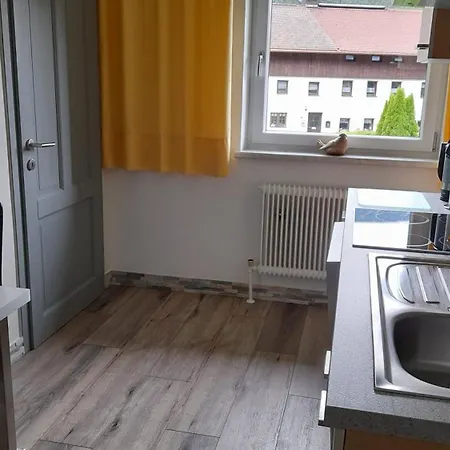 Haus Fini